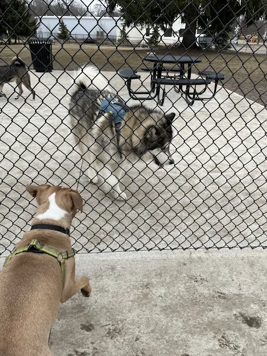 Betty’s Dog Park 5