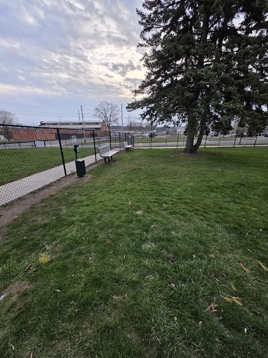 Betty’s Dog Park 9