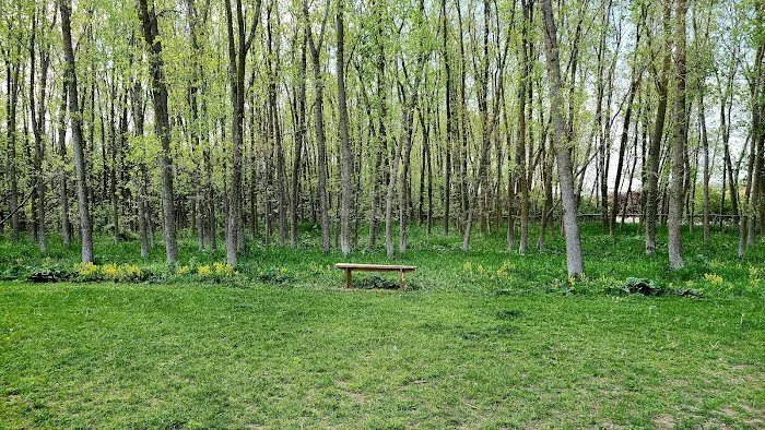Meridian Township Private Large Dog Park 3