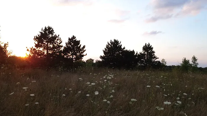 Meridian Township Private Large Dog Park 6