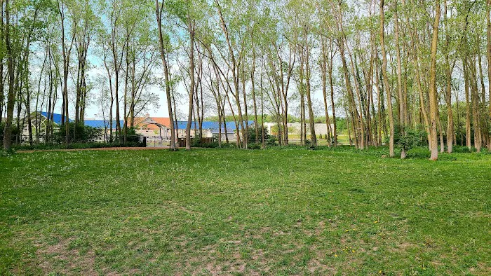 Meridian Township Private Large Dog Park 9