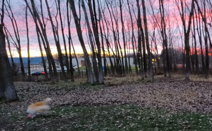 Meridian Township Private Large Dog Park 1