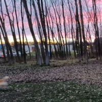 Meridian Township Private Large Dog Park ico