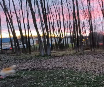 Meridian Township Private Large Dog Park