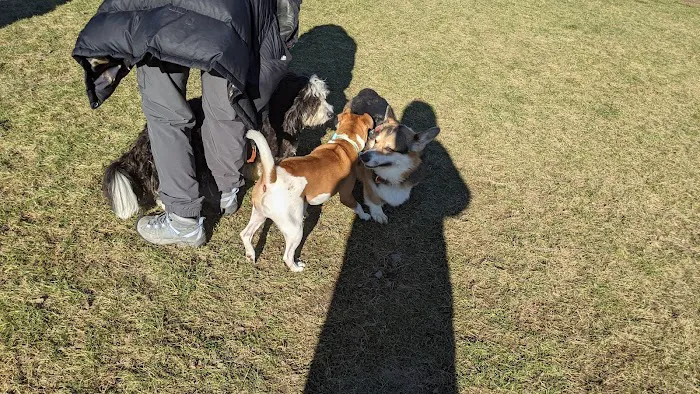 Meridian Private Small Dog Park 6