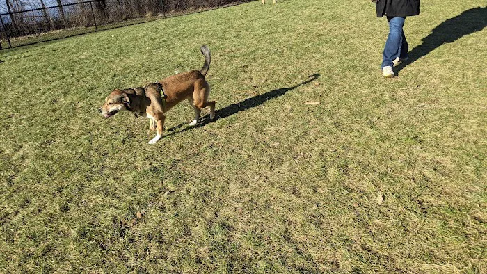 Meridian Private Small Dog Park 10