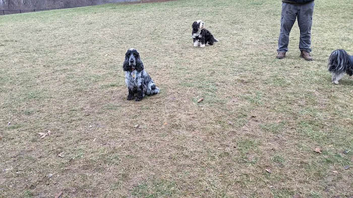 Meridian Private Small Dog Park 4