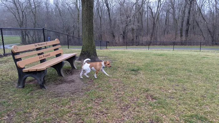 Meridian Private Small Dog Park 5