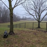 Meridian Private Small Dog Park ico