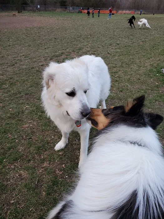 Northern Tail Dog Park 4