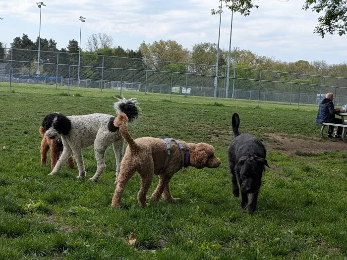 Northern Tail Dog Park 7