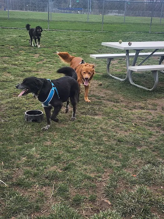 Northern Tail Dog Park 10