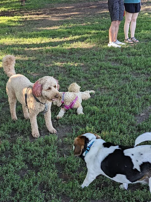 Northern Tail Dog Park 9