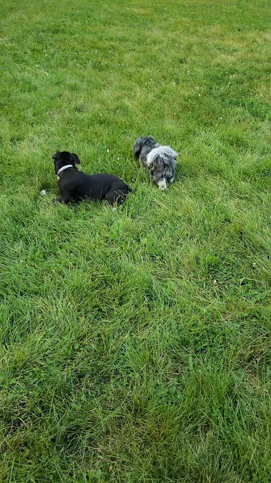 Northern Tail Dog Park 6