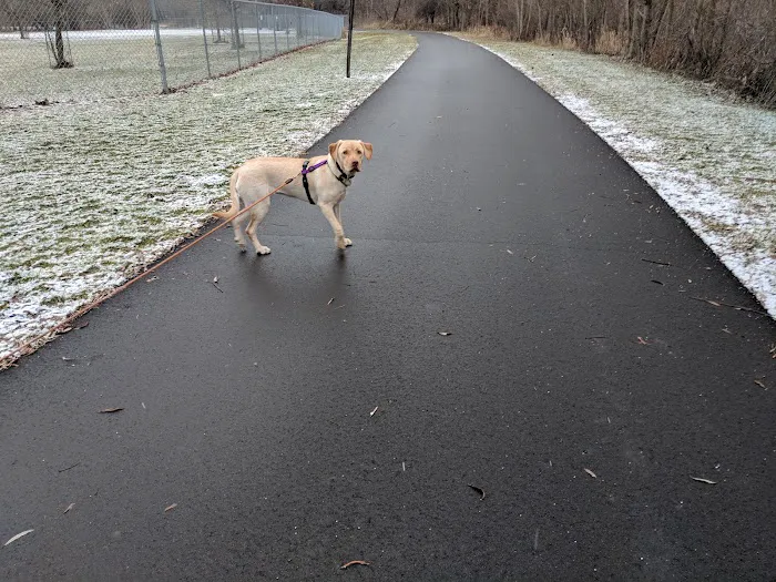 Northern Tail Dog Park 3