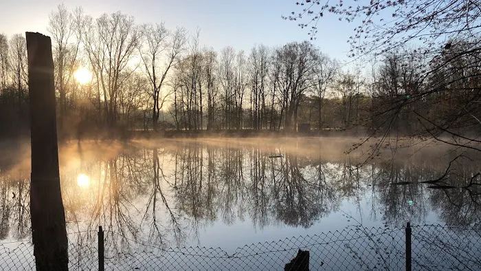 Soldan Dog Park 3