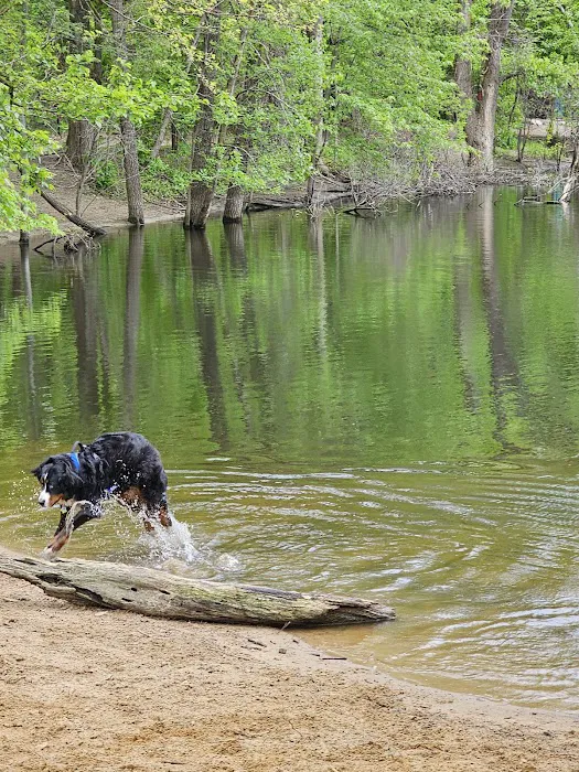 Soldan Dog Park 8