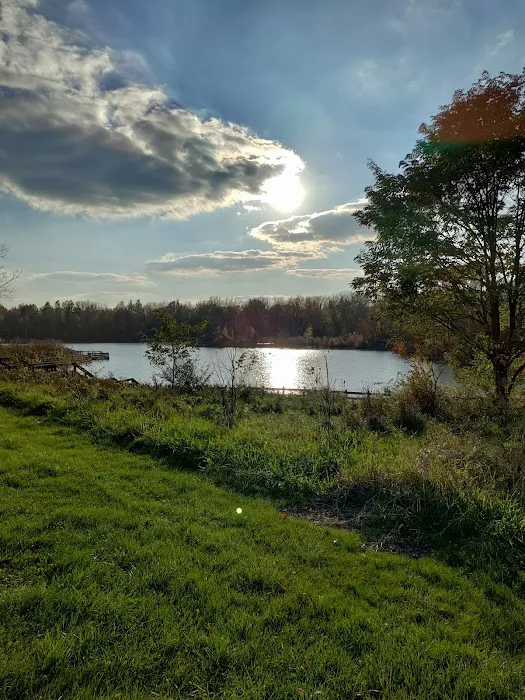 Soldan Dog Park 6