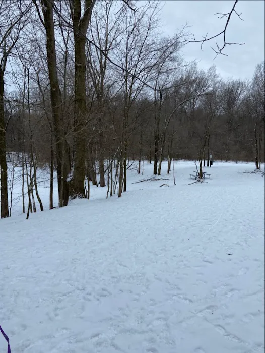 Soldan Dog Park 9
