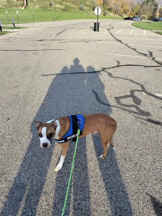 Soldan Dog Park 7