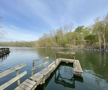 Soldan Dog Park