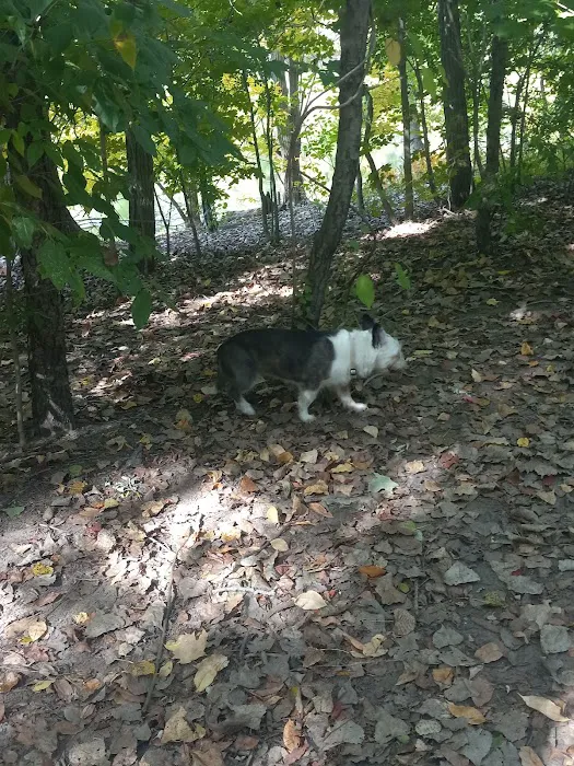 Soldan Dog Park 5