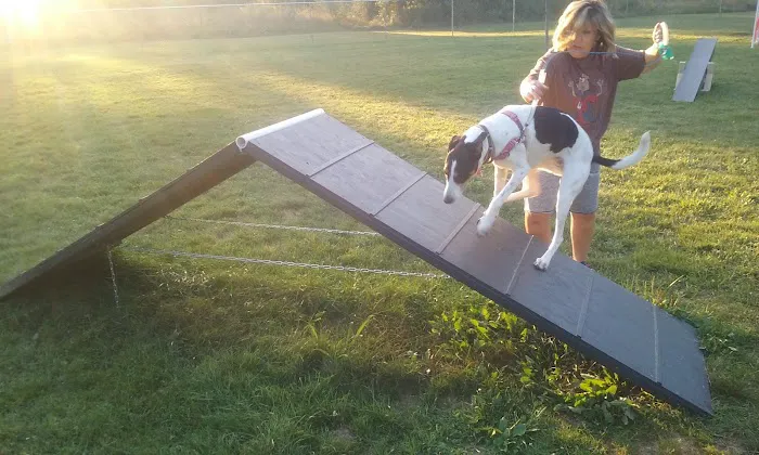 Island City Dog Park 2