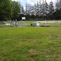 Island City Dog Park ico