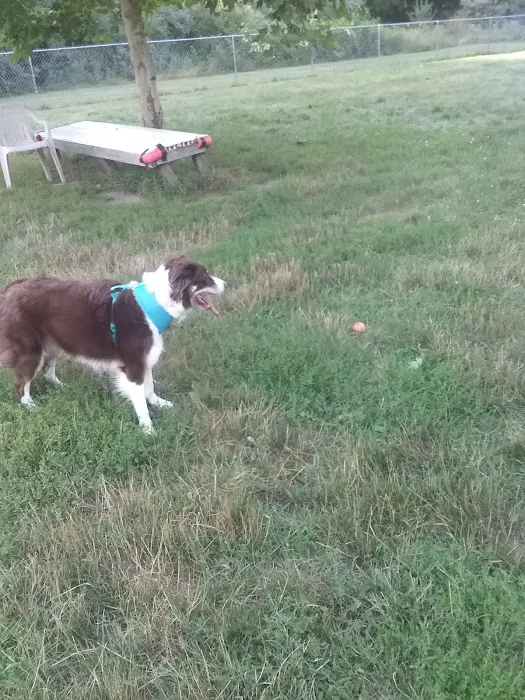 Island City Dog Park 9