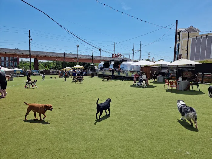 Fetch Park O4W 8