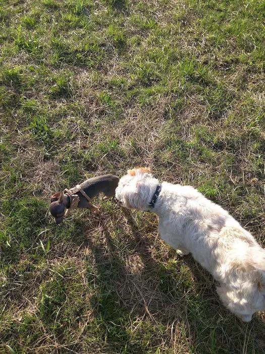 Freedom Barkway Dog Park 10