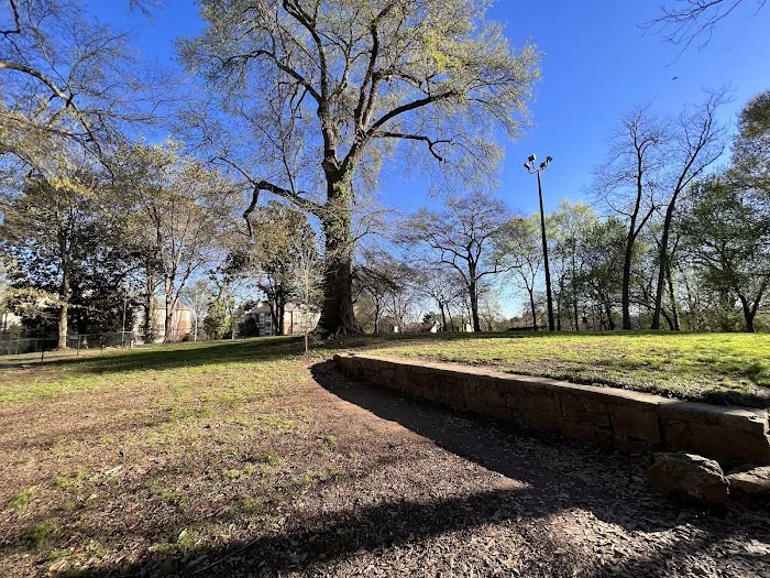 Renaissance Dog Park 2