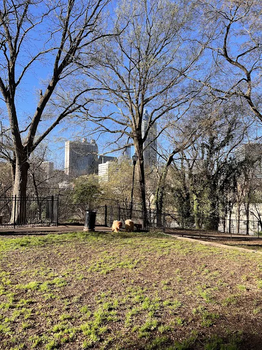 Renaissance Dog Park 4