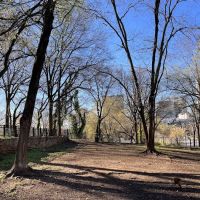 Renaissance Dog Park ico