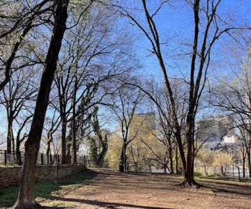 Renaissance Dog Park