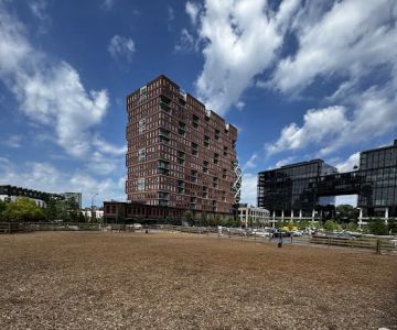 Historic Fourth Ward Dog Park