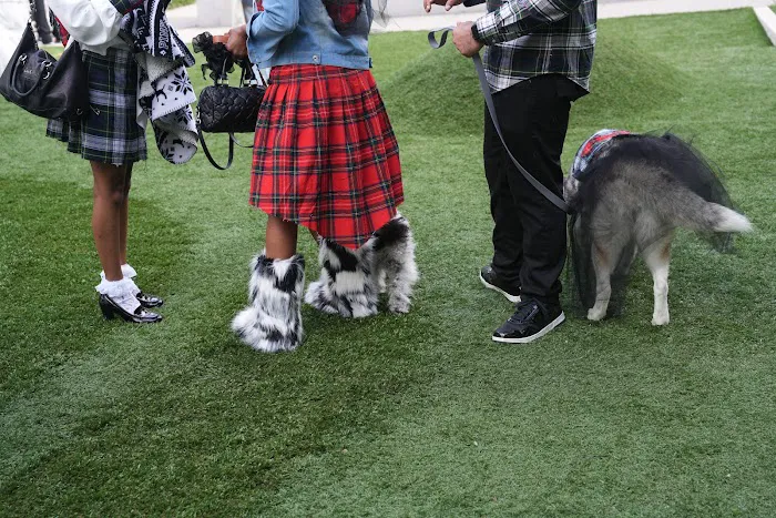 10th Street Dog Park 1