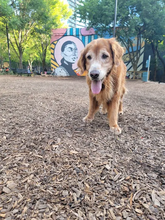 10th Street Dog Park 4