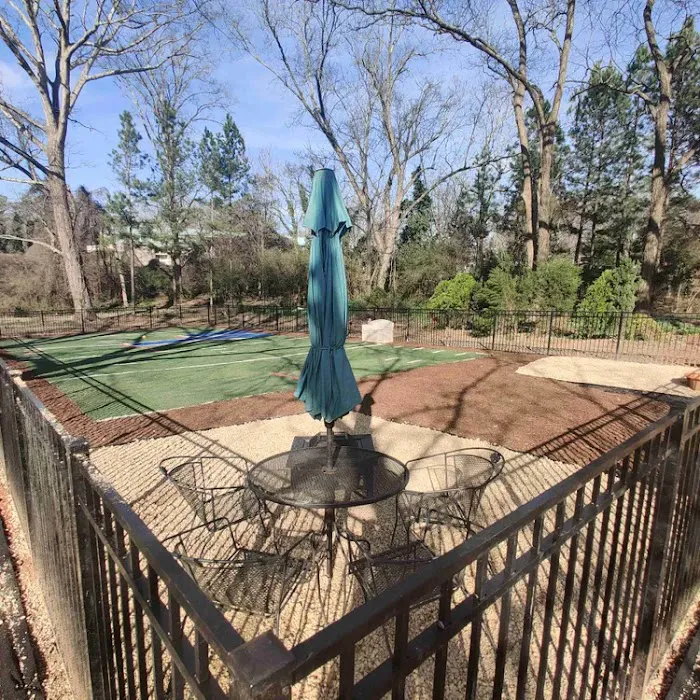 Zeno's Backyard Bark Park 1