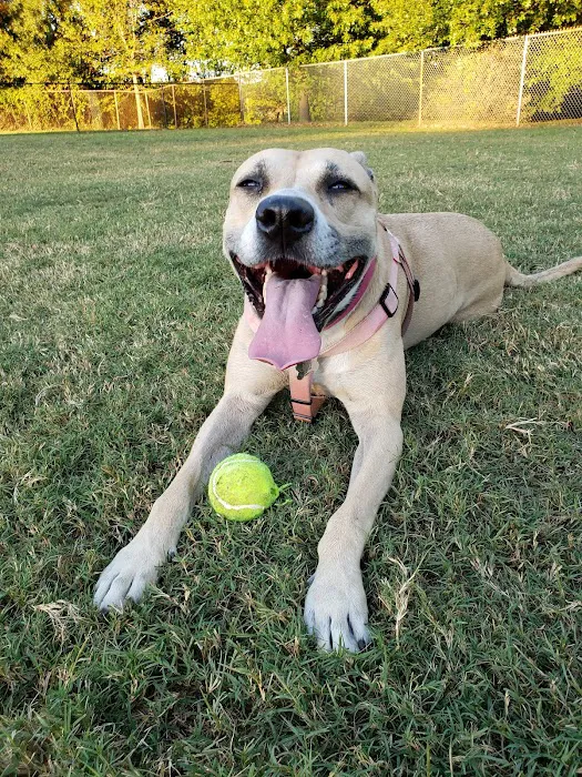 Walker Park Dog Park 9