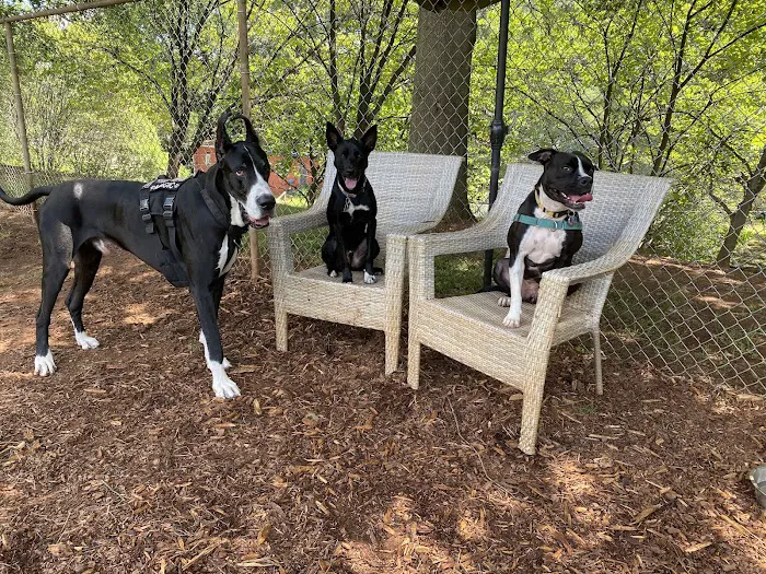 Walker Park Dog Park 10