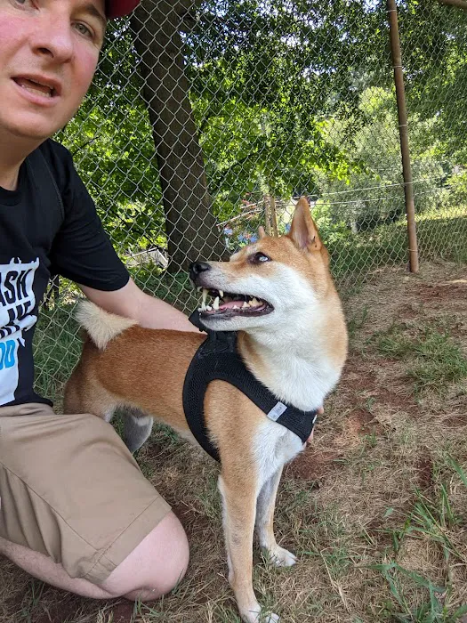 Walker Park Dog Park 6