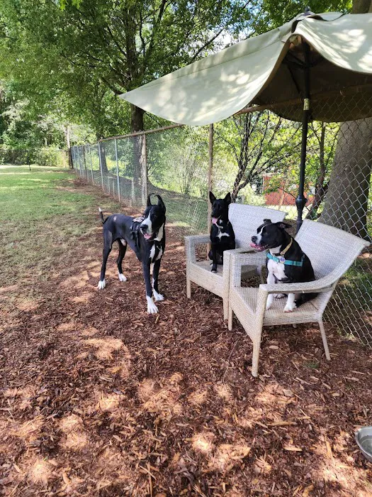 Walker Park Dog Park 5