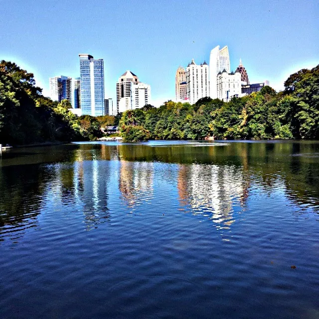 Piedmont Dog Park 4