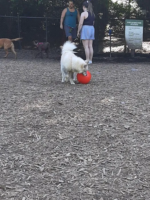 Piedmont Dog Park 8