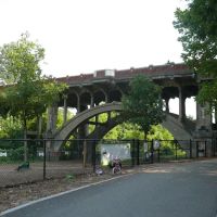Piedmont Dog Park ico