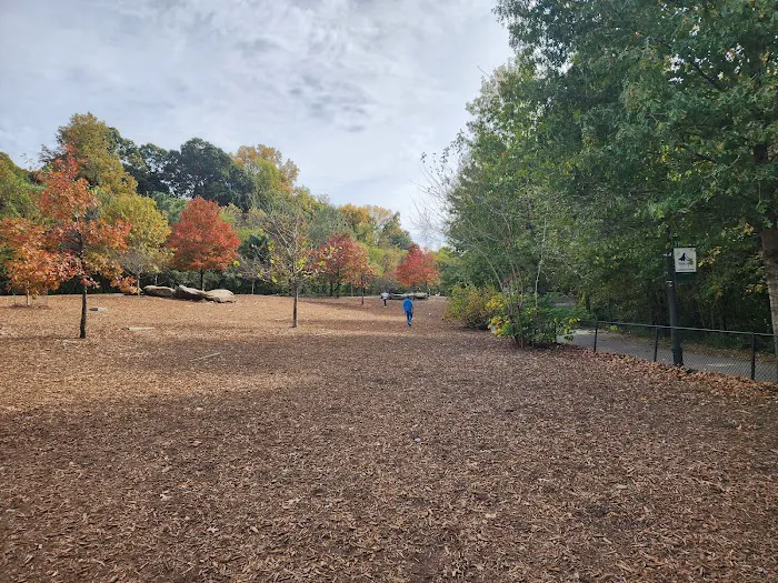 Piedmont Dog Park 7