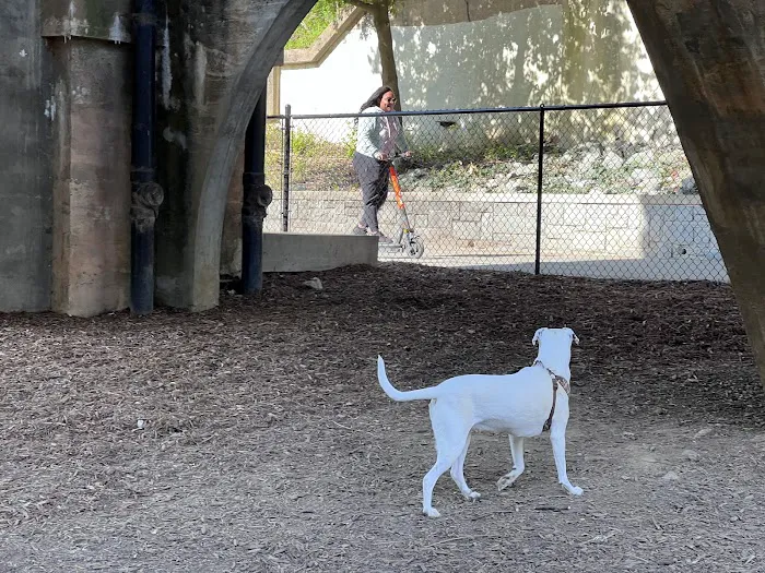 Piedmont Dog Park 6