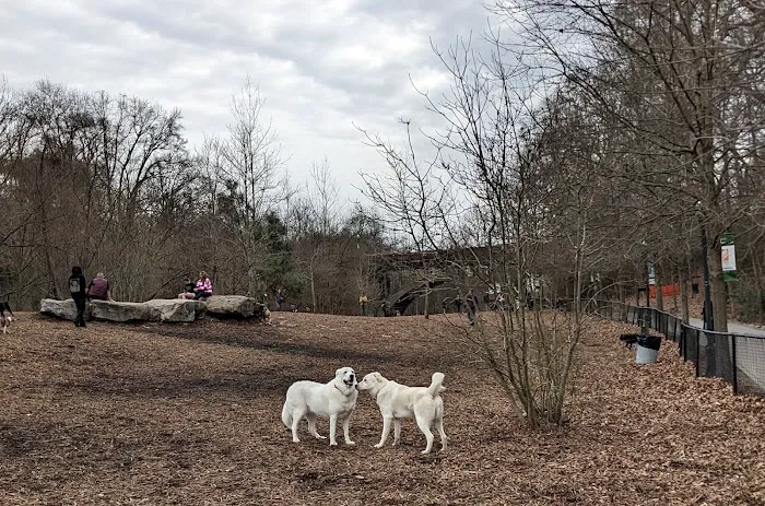 Piedmont Dog Park 9