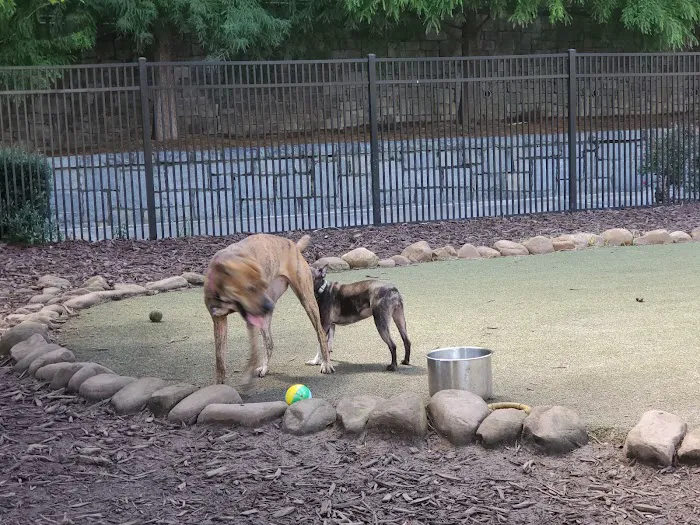 Atlantic Station Dog Park 1